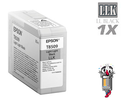Epson T850900 UltraChrome HD Light Light Black Inkjet Cartridge