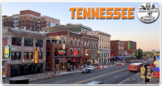 Nashville city logo banner