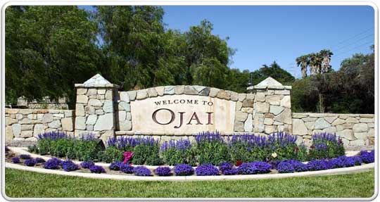 Ojai Printer Ink Cartridges Ojai ink toner near me