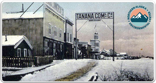 Tanaina city logo banner
